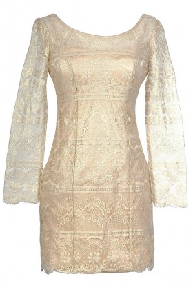 Golden Wishes Lace Overlay Designer Dress
